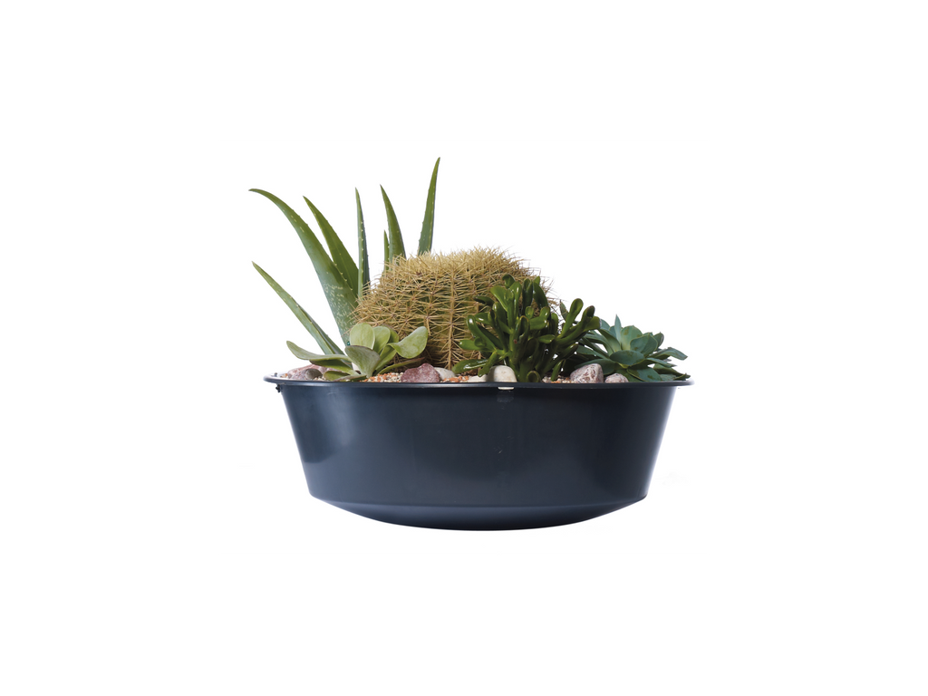 Récupérateur d'eau de pluie VASO 2in1 Decor, 220 L