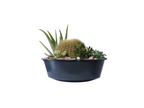 Récupérateur d'eau de pluie VASO 2in1 Decor, 220 L