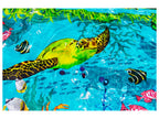 Piscine gonflable, 262 x 175 x 51 cm