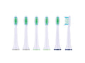 Lot de 6 Brossettes de rechange CBZKS 6 A1