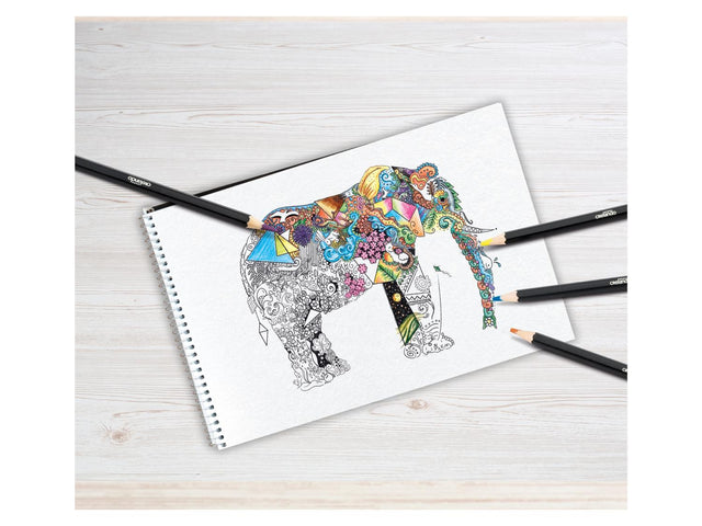 Crayons de couleur artistiques \ Crayons de couleur aquarellables, en étui métallique