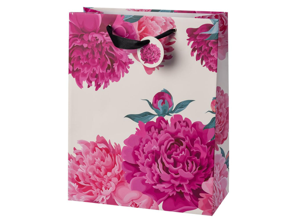 Set de sacs cadeaux, 10 pièces