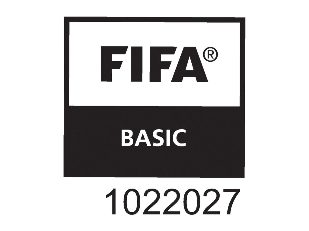 Ballon de football Coupe du Monde