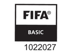 Ballon de football Coupe du Monde