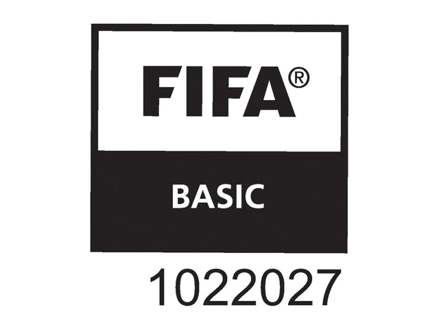 Ballon de football Coupe du Monde