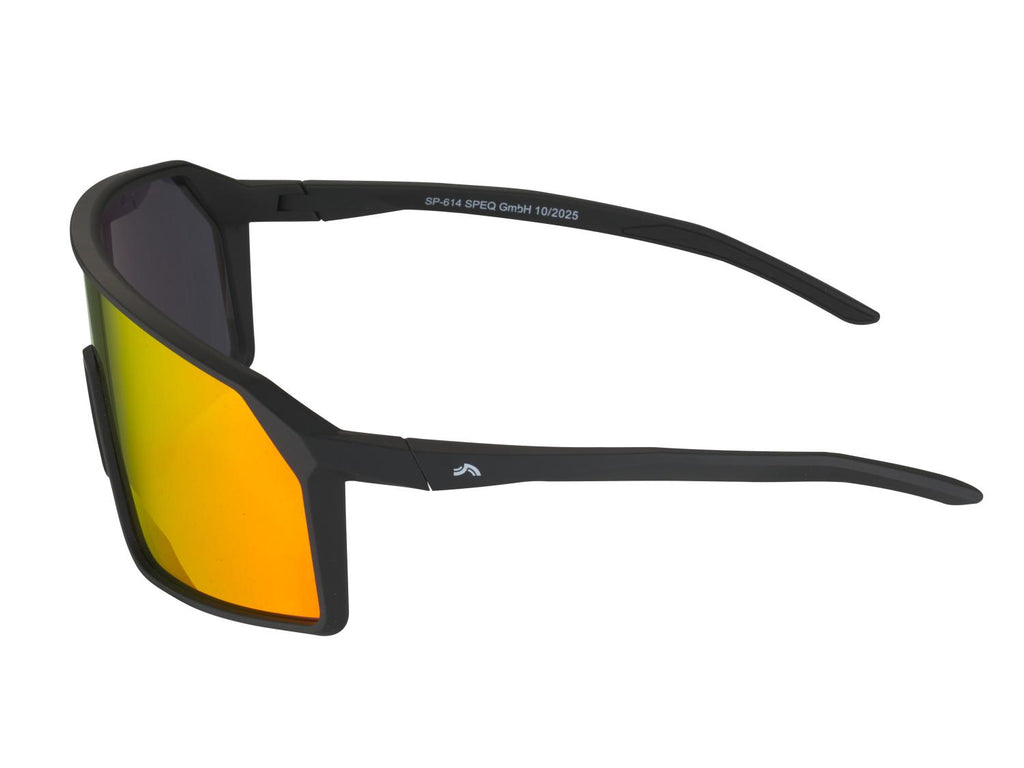 Lunettes de sport