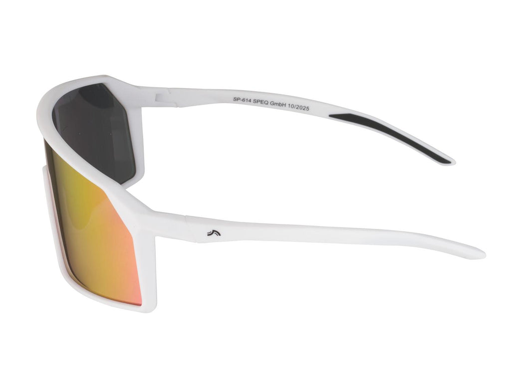 Lunettes de sport