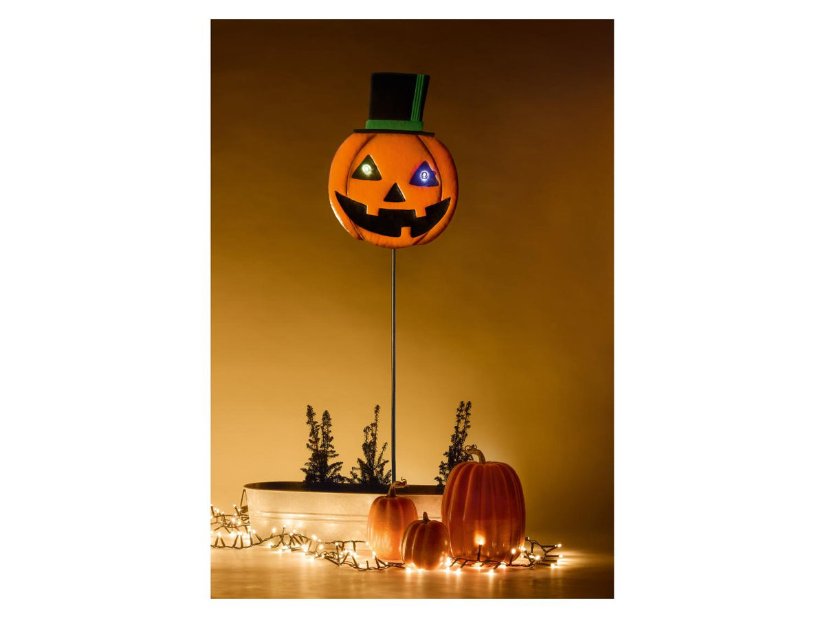 Décoration de jardin d'Halloween