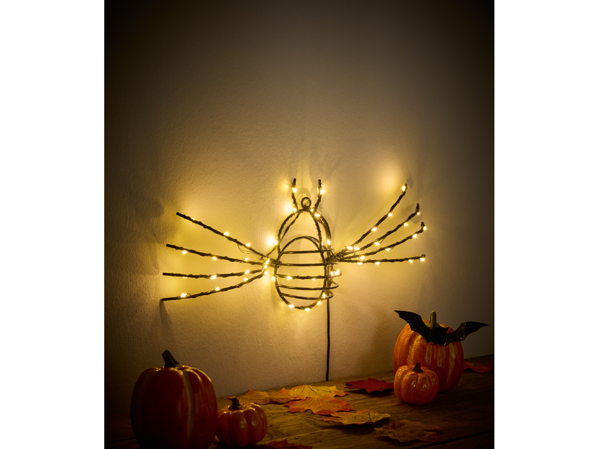 Décoration de jardin d'Halloween, avec fonction minuterie