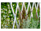 dobar Jardinière surélevée à roulettes avec treillis, L 79 x l 28,5 x H130 cm