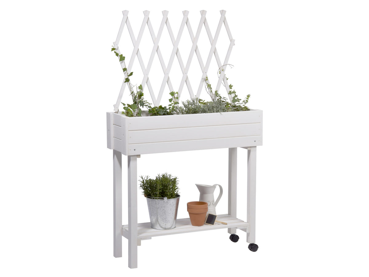 dobar Jardinière surélevée à roulettes avec treillis, L 79 x l 28,5 x H130 cm