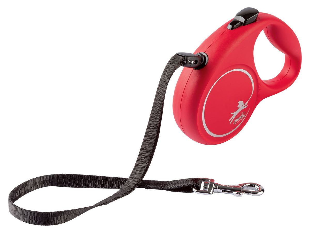 Laisse rétractable pour chien