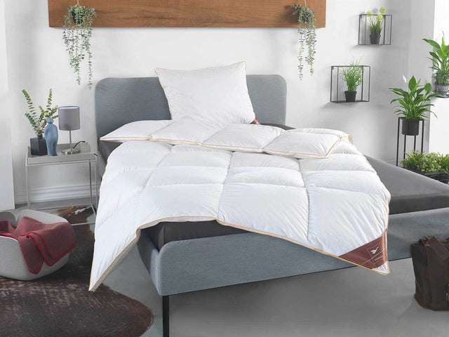 Couette très chaude à cassettes en duvet Royal