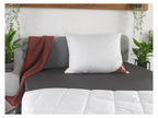 Oreiller en plumes et duvet Royal