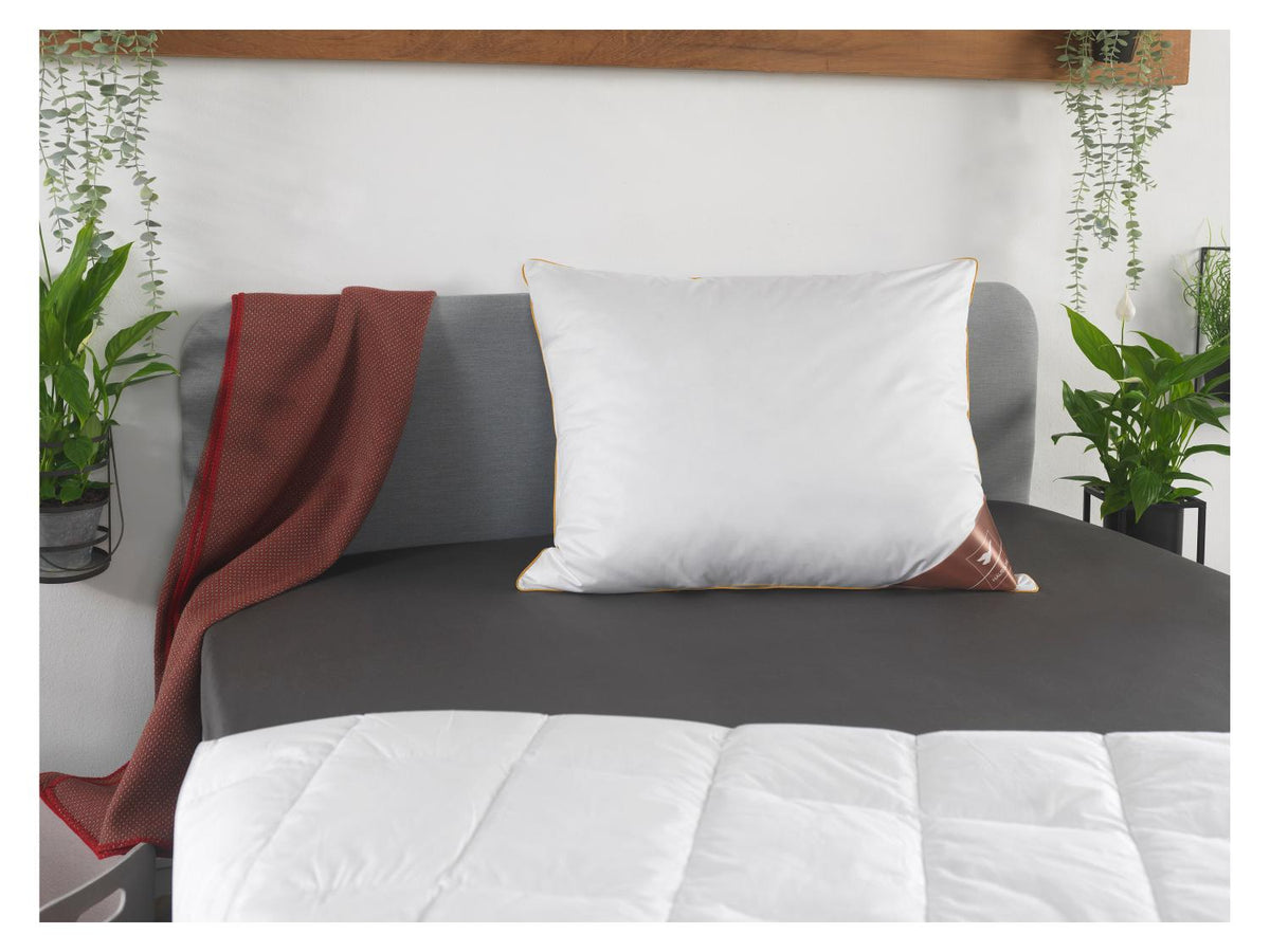 Oreiller en plumes et duvet Royal