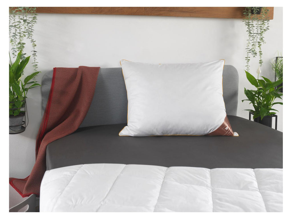 Oreiller en plumes et duvet Royal