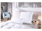 Oreiller plumes et duvet Premium
