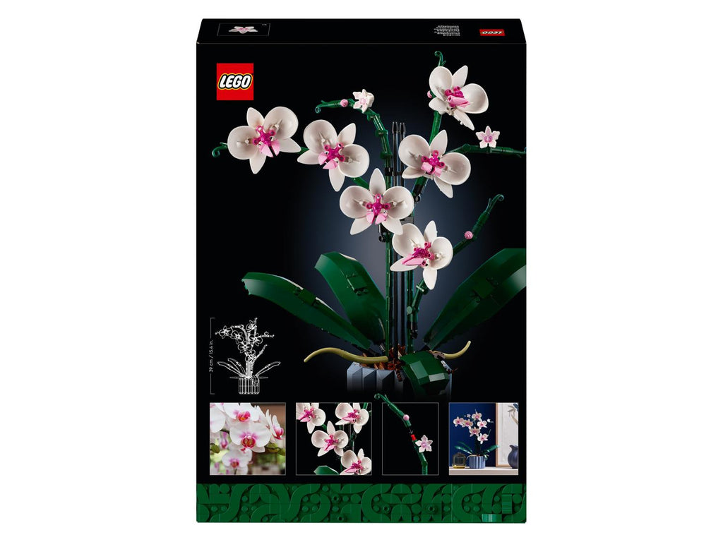10311 L'orchidée