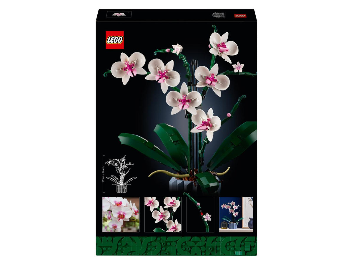 10311 L'orchidée