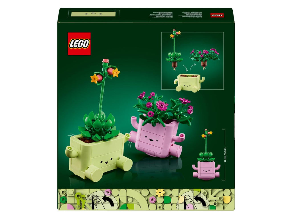 11506 Petites plantes dansantes