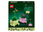 11506 Petites plantes dansantes