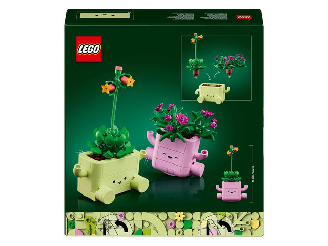 11506 Petites plantes dansantes