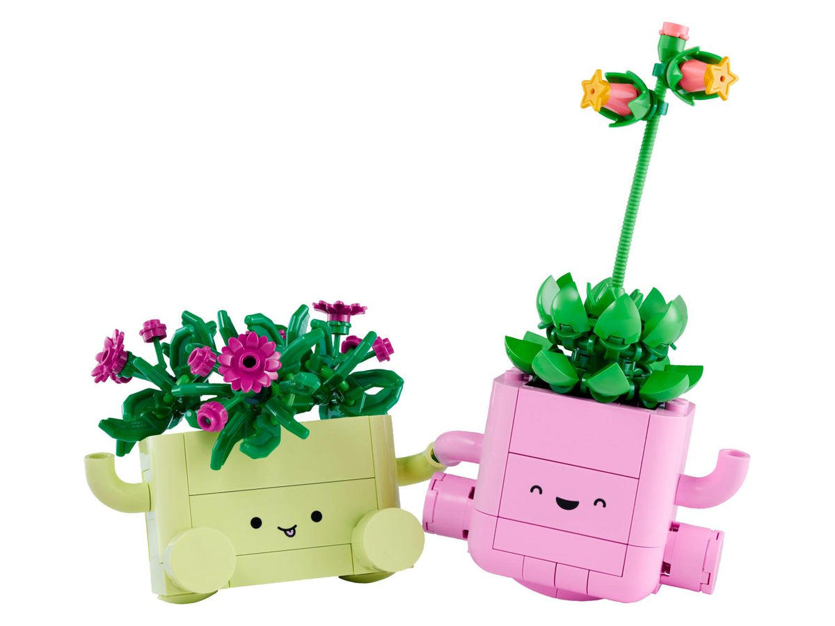 11506 Petites plantes dansantes