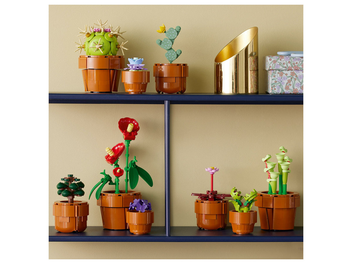 10329 Les Plantes Miniatures