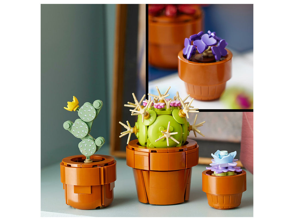 10329 Les Plantes Miniatures