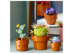 10329 Les Plantes Miniatures