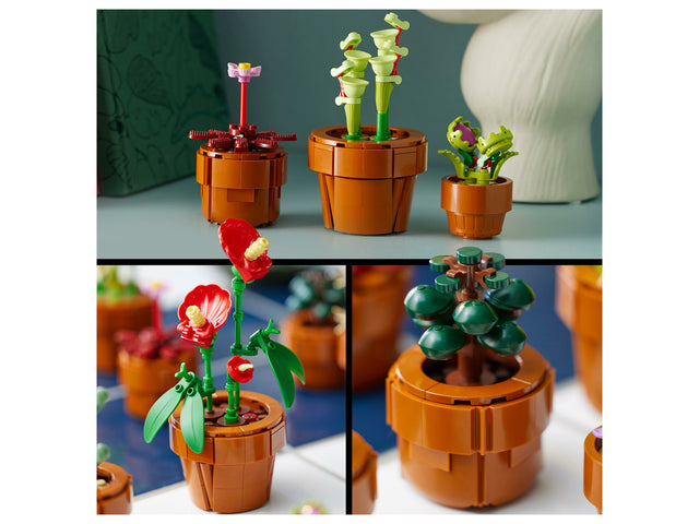 10329 Les Plantes Miniatures
