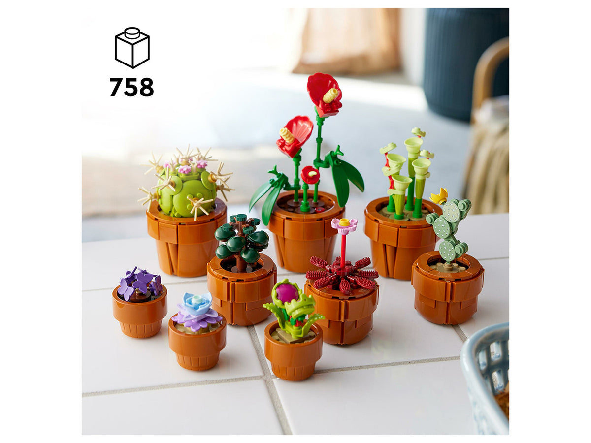 10329 Les Plantes Miniatures