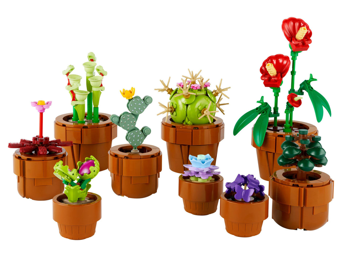 10329 Les Plantes Miniatures