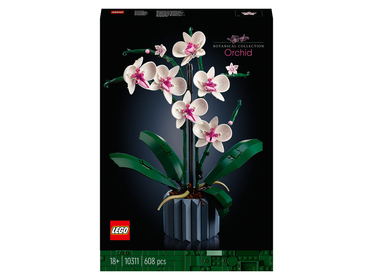 « L’orchidée » 10311