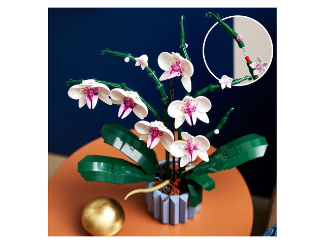 « L’orchidée » 10311