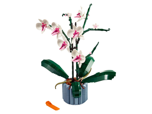 « L’orchidée » 10311
