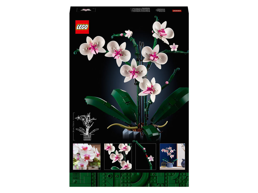 « L’orchidée » 10311