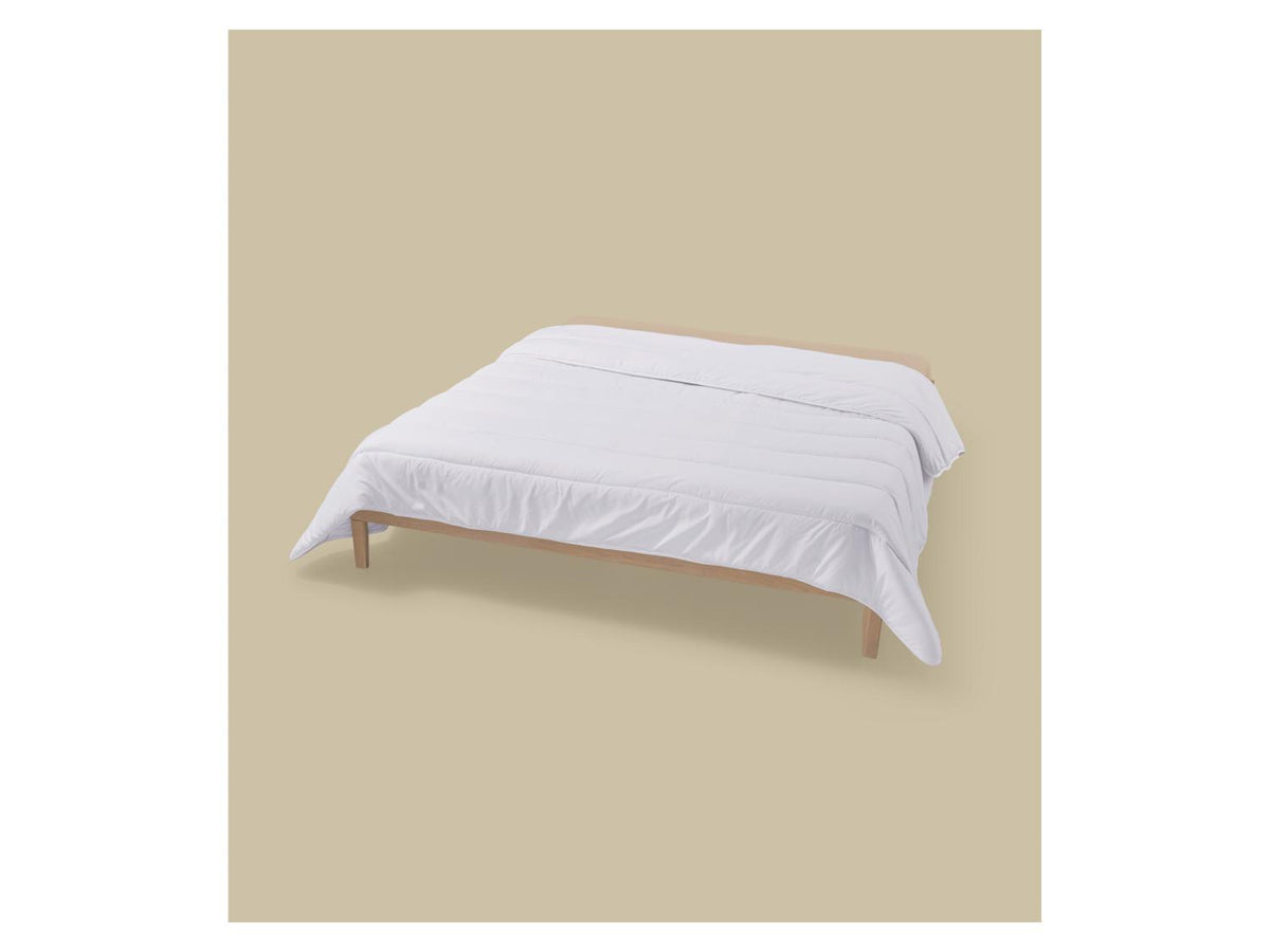 Couette, L 260 x l 240 cm