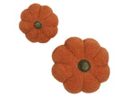 Coussins décoratifs, 2 pièces