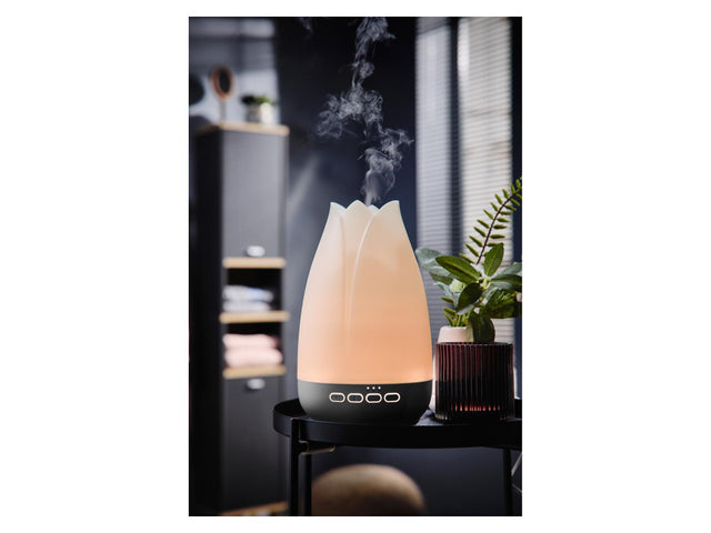 Diffuseur d'arômes à ultrasons »LADL 300 A1«