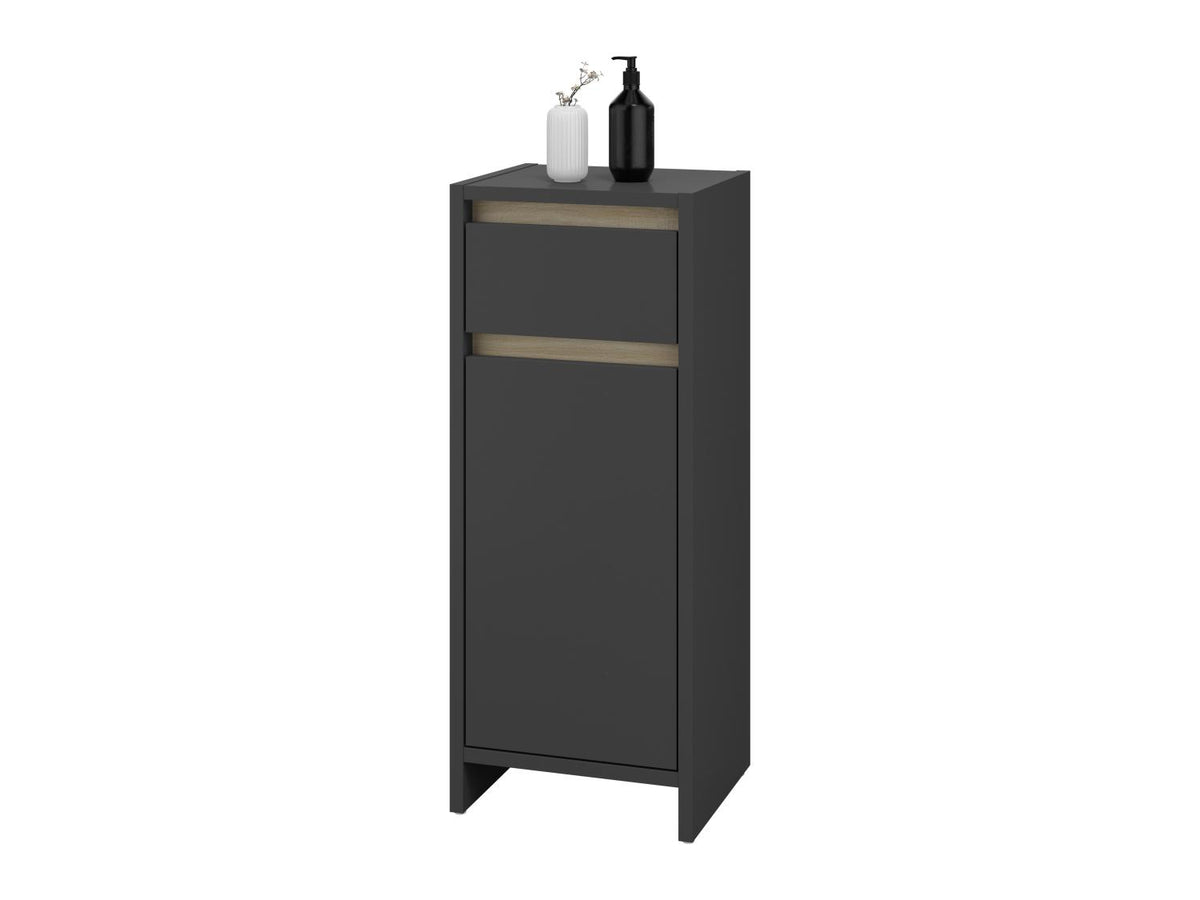 Meuble de salle de bains Oslo, 32 x 80 x 28 cm, anthracite