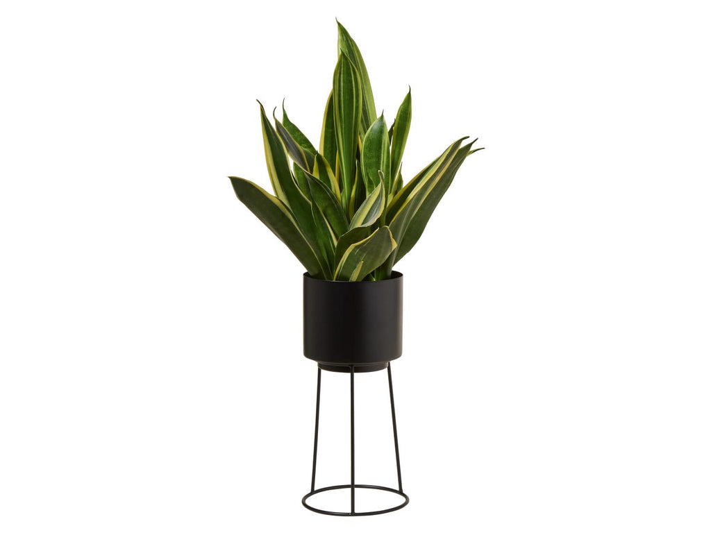 Pot pour plante avec support