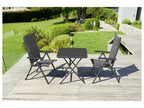 Table de jardin + Lot de 2 fauteuils Toronto