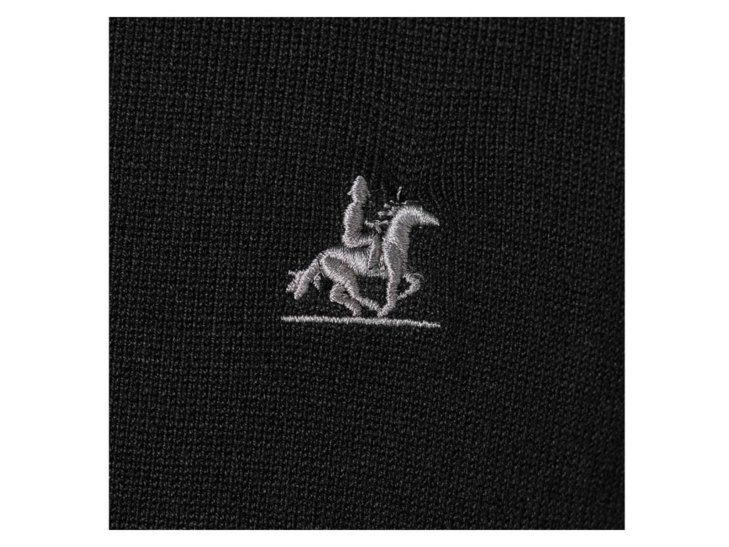 x U.S. Grand Polo Pull Troyer Homme