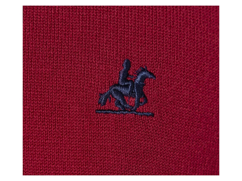 x U.S. Grand Polo Pull Troyer Homme