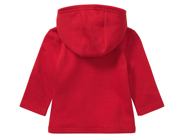 Lot de 2 vestes à capuche bébé