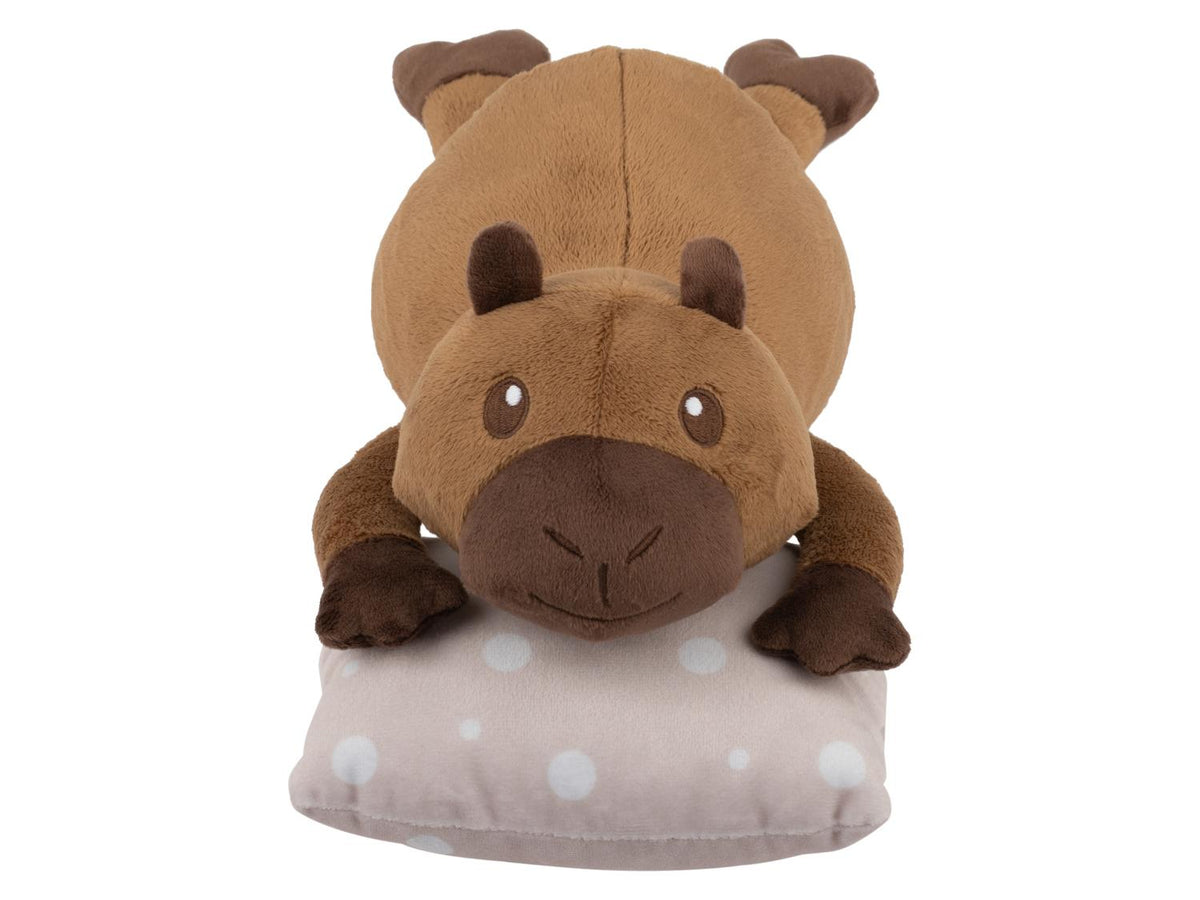 Peluche avec veilleuse LED