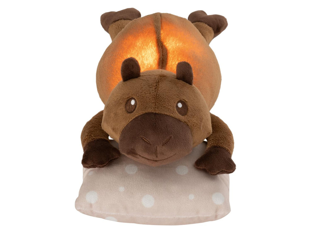 Peluche avec veilleuse LED