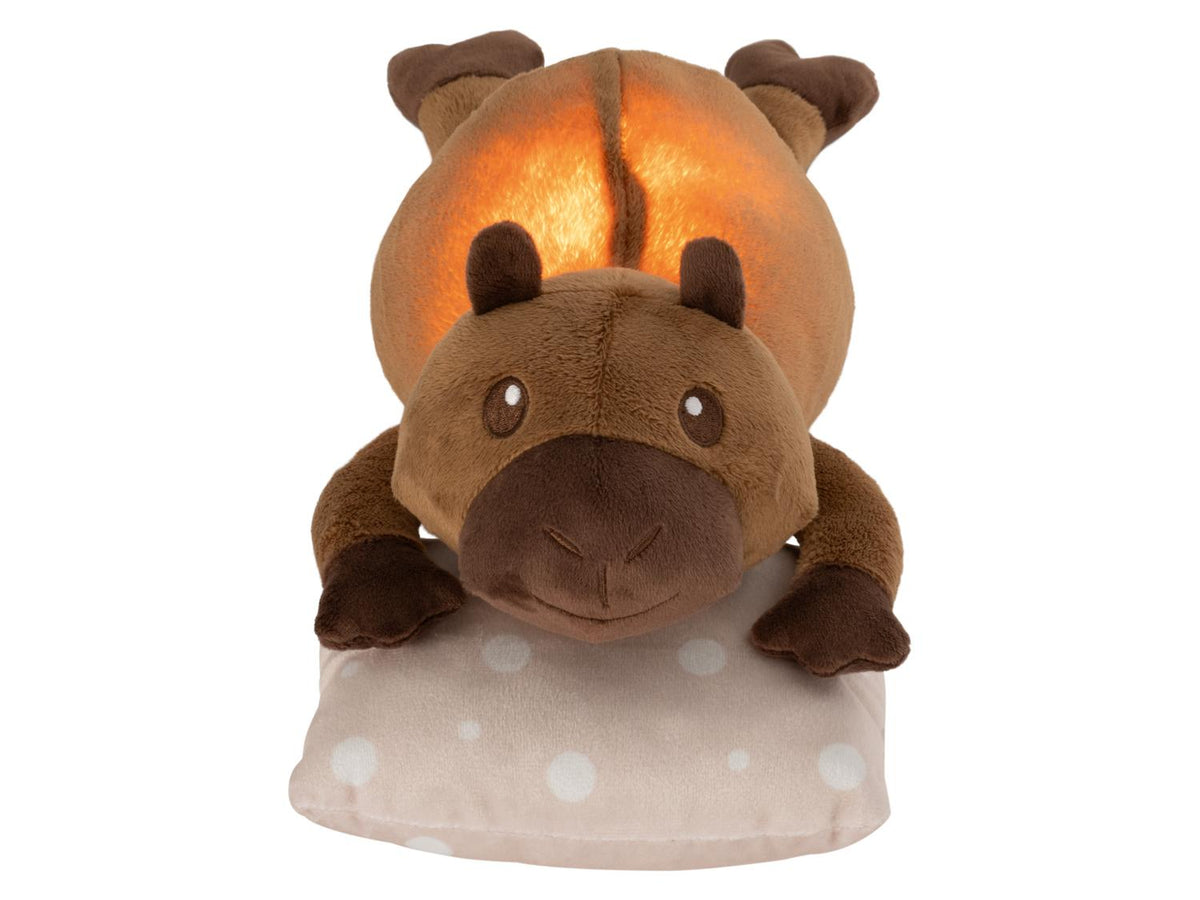 Peluche avec veilleuse LED
