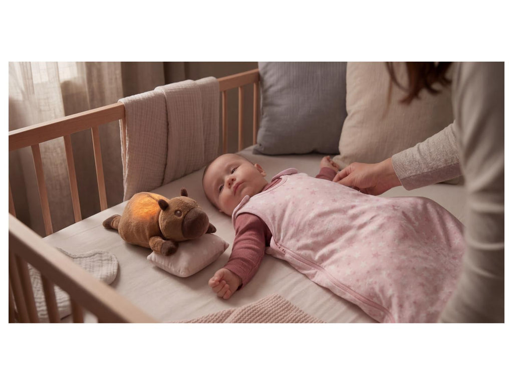 Peluche avec veilleuse LED
